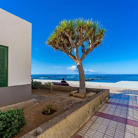 Atlantic View Premium Oceanfront 아파트 *